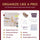 Ultimate Pegboard Organization Bundle - MadamSew