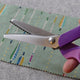 pinking shears with a zigzag edge held by a hand,