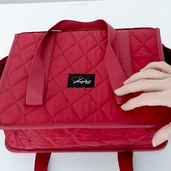 Best of Madam Sew: Press & Sign Edition (Red Organizer)